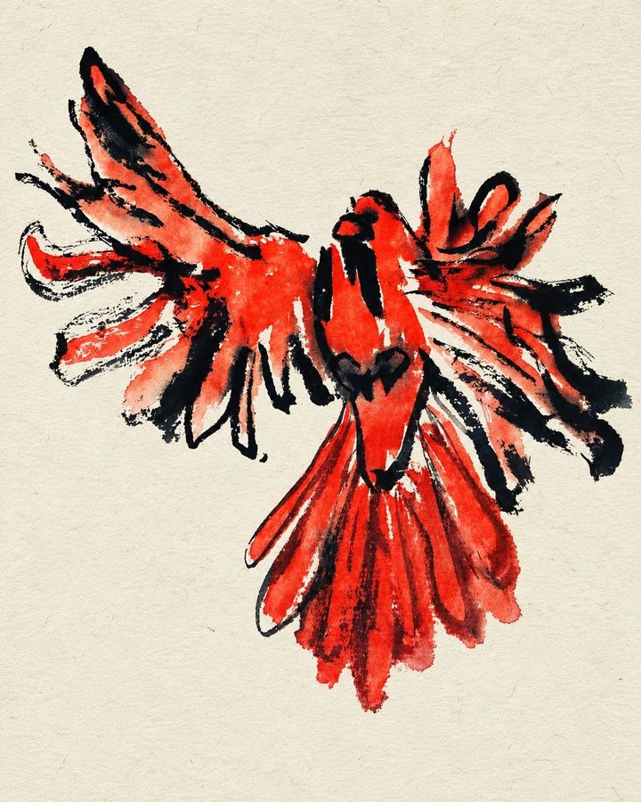 Untitled (Cardinal), ink and watercolor on paper