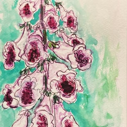 Untitled (Foxglove), ink and watercolor on paper