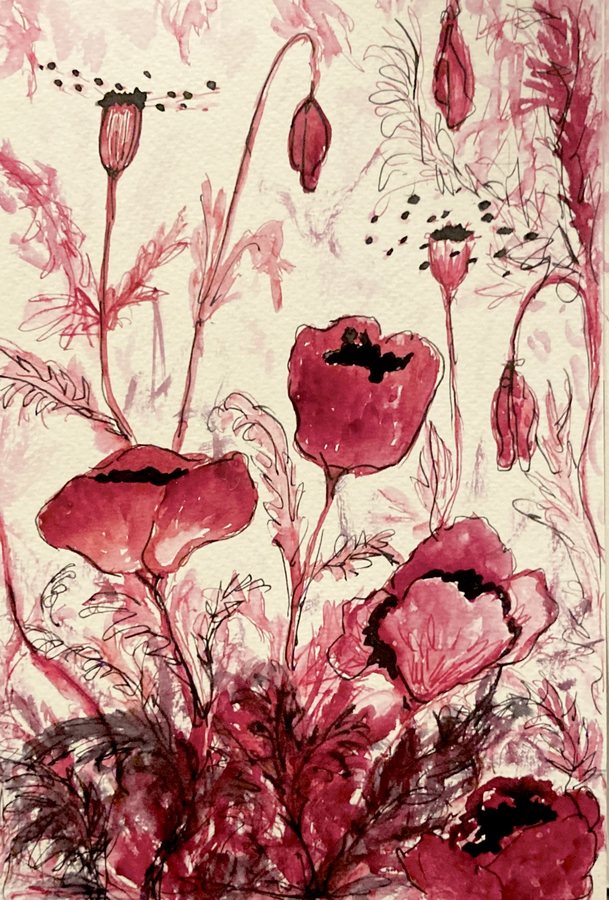 Untitled (Poppies), ink and watercolor on paper