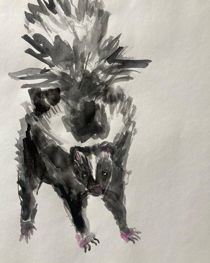Skunk, gouache, watercolor and ink on rice paper